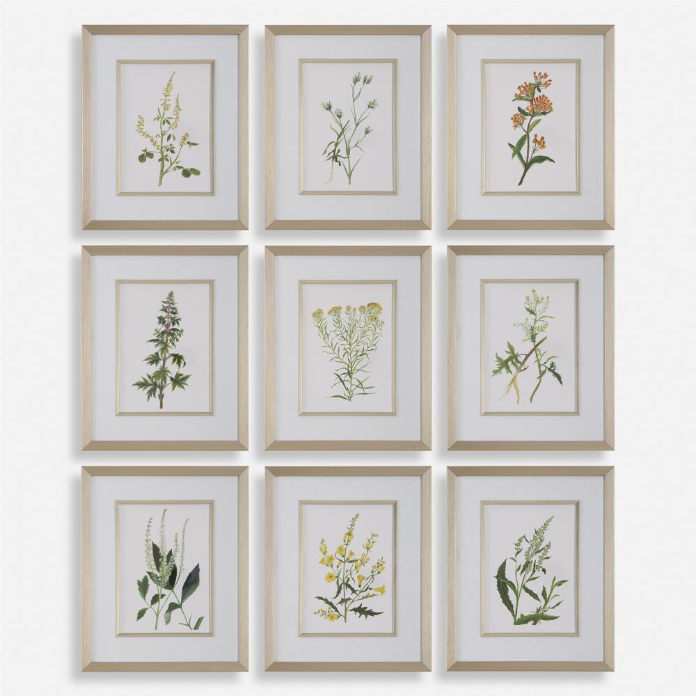 Uttermost Botanical Flowers Framed Prints, S/9