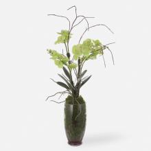 Uttermost 60199 - Uttermost Valdive Orchid