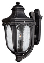 Hinkley 1315MB - Large Wall Mount Lantern