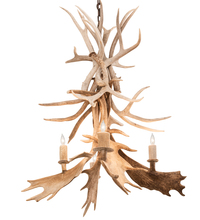 Meyda White 212272 - 28&#34; Wide Antlers White Tail & Fallow Deer 4 Light Chandelier